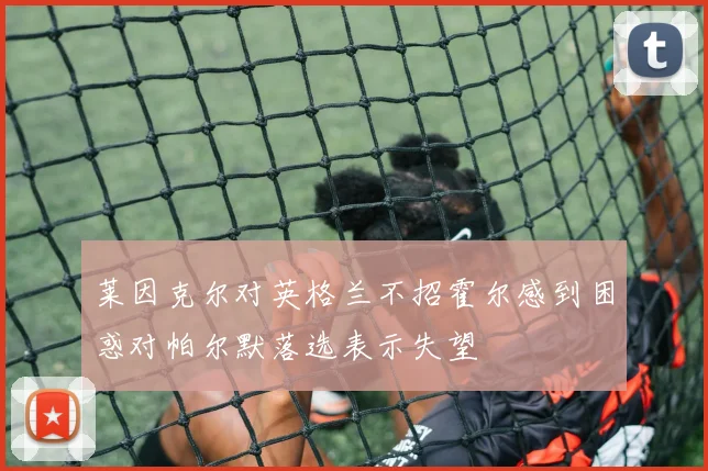 莱因克尔对英格兰不招霍尔感到困惑对帕尔默落选表示失望
